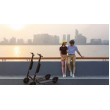Електросамокат Segway-Ninebot E45E, Silver